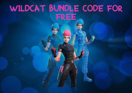 wildcat-bundle-code